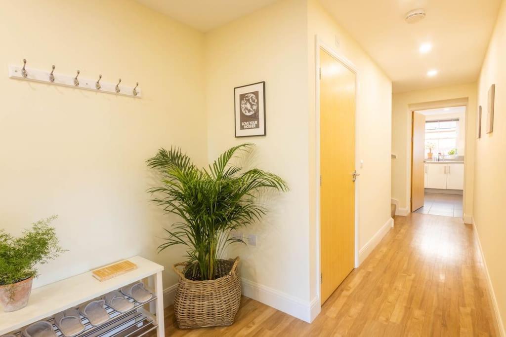 The Wellness Lodge- Gym, Table Tennis, Cinema, Parking And More! Bath Exteriör bild